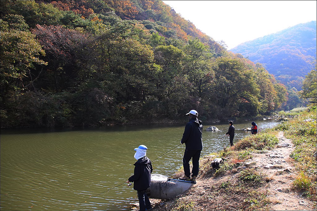 four seasons angling club Fishing Spots_South Korea_YuJung Trout Pay Pond
